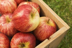 Как дольше сохранить яблоки